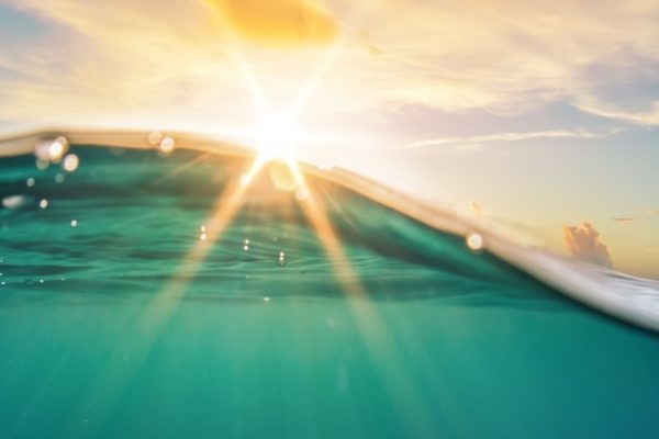 Coronavirus Protocol featured image