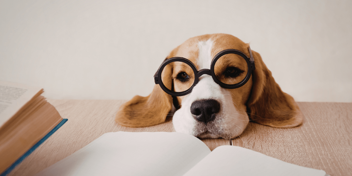 Vision Regression After LASIK: Why It Happens and What To Do banner