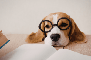 Vision Regression After LASIK: Why It Happens and What To Do featured image