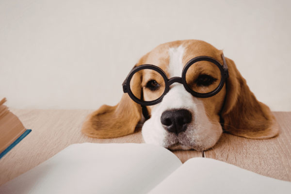 Vision Regression After LASIK: Why It Happens and What To Do featured image